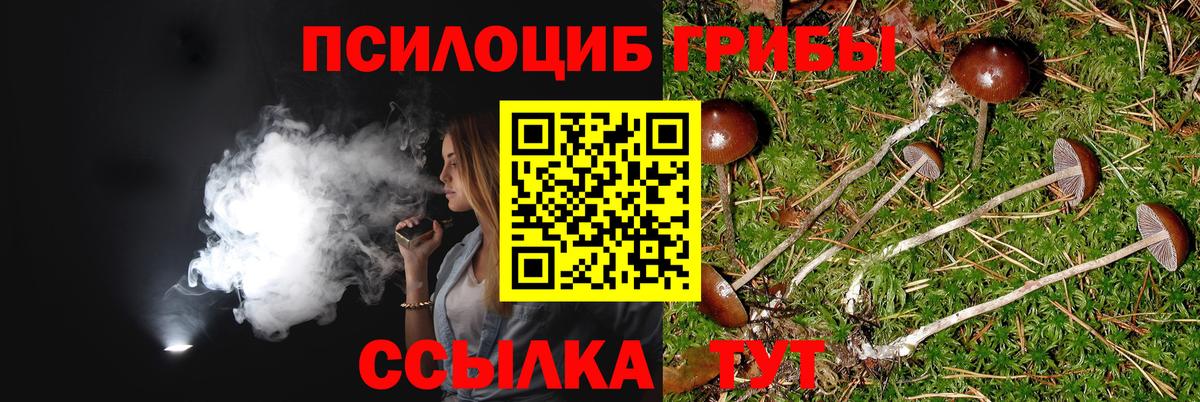 Галлюциногенные грибы прущие грибы Тимашёвск