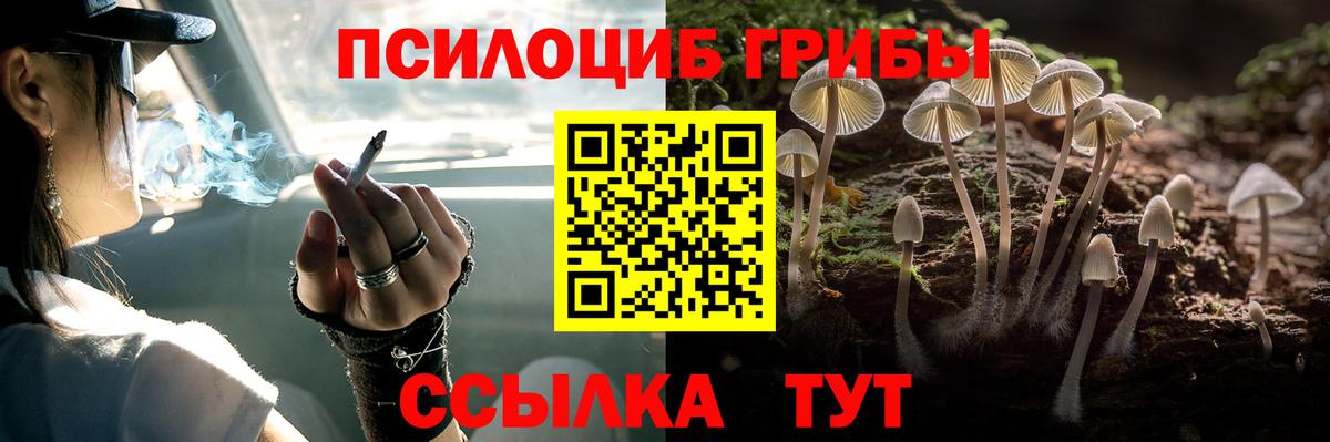 Псилоцибиновые грибы Psilocybe  Вход с VPN  Галлюциногенные грибы Psilocybe  Тимашёвск 